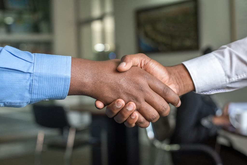 Handshake between professionals